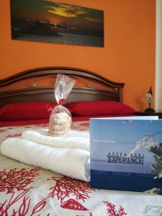 Asceaexperience Rooms Eksteriør billede